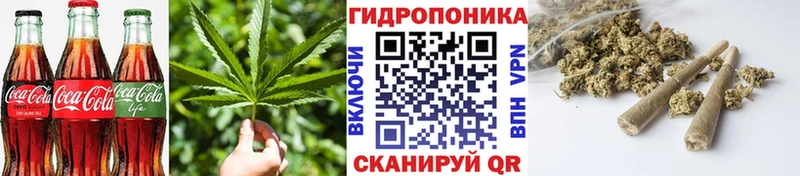 как найти наркотики omg ССЫЛКА Cannafood конопля дарк нет как зайти Сортавала