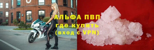 соль ск Алексин